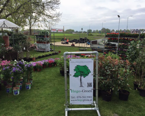 Hogo-Groen-Ulvenhout-Breda-Home-8