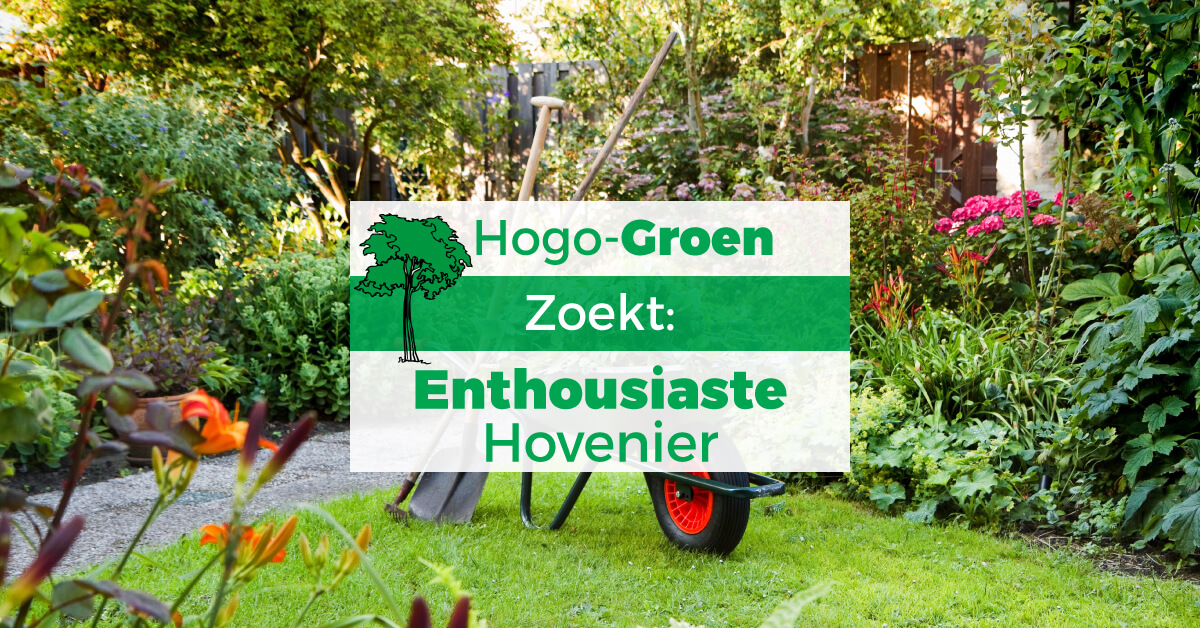 Facebook-Advertentie-Hogo-Groen-Dec-17-Tiny